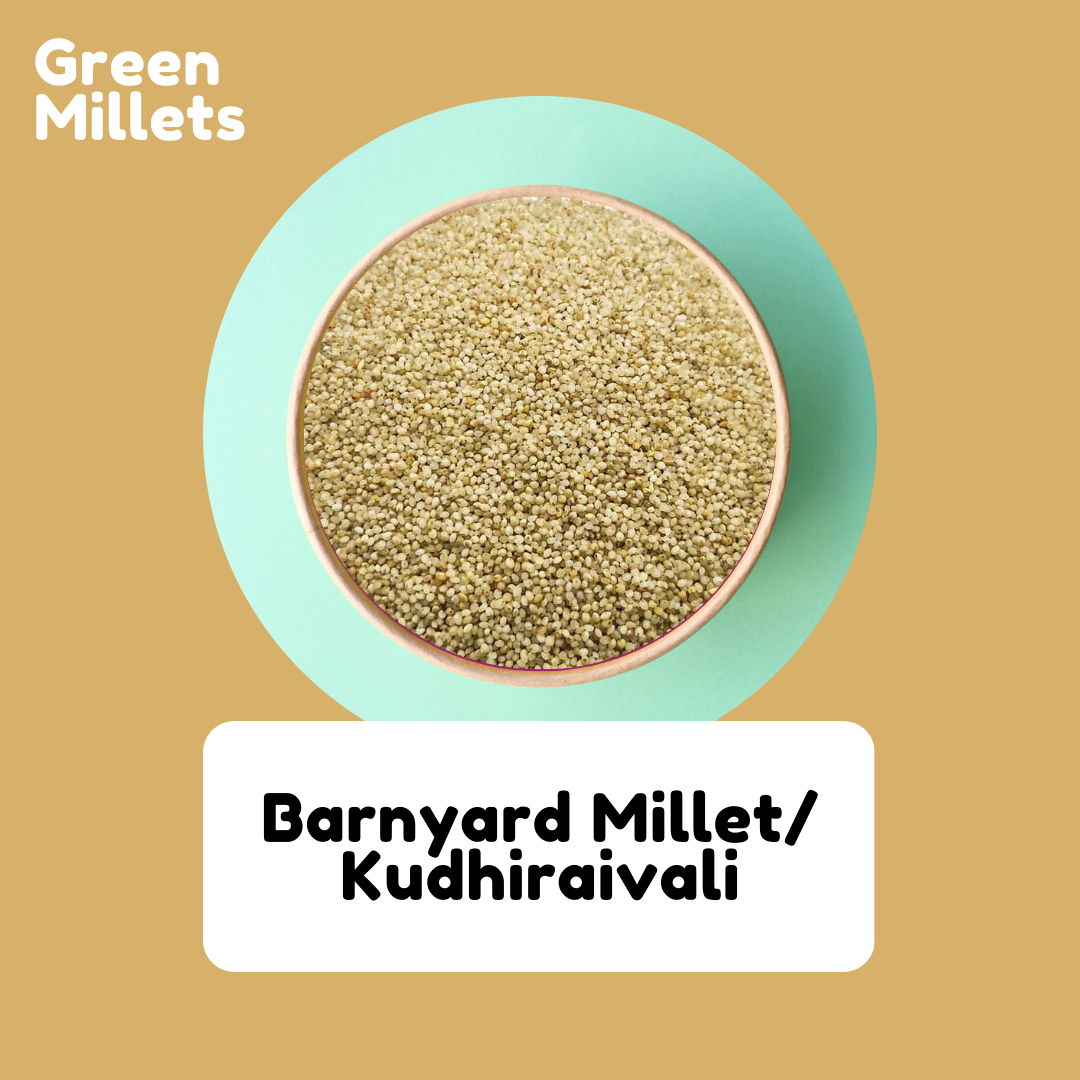 Kudhiraivali Rice | Barnyard Rice | Oadalu | Jhangora 1Kg