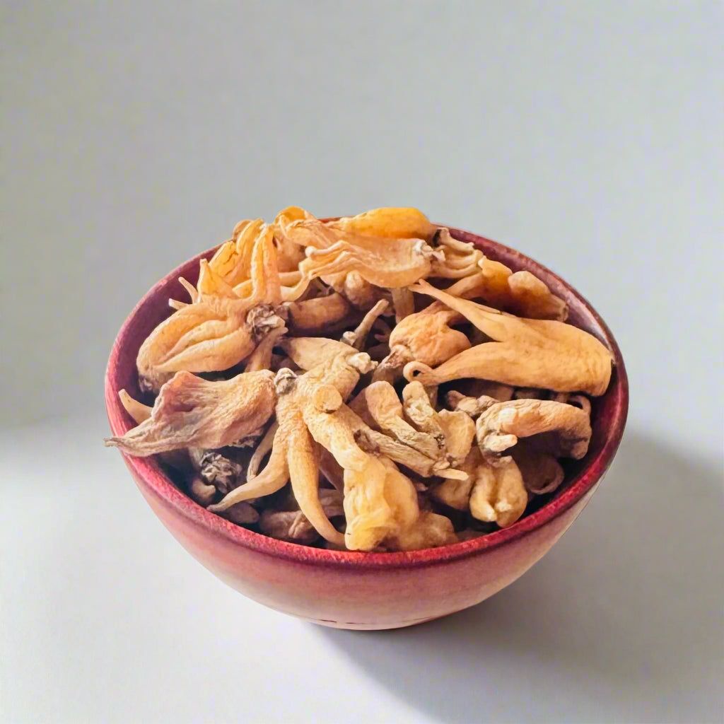 Original Yellow Salam Panja - Hatta Haddi - Panchaule Dactylorhiza Hatagirea - Salab Panja