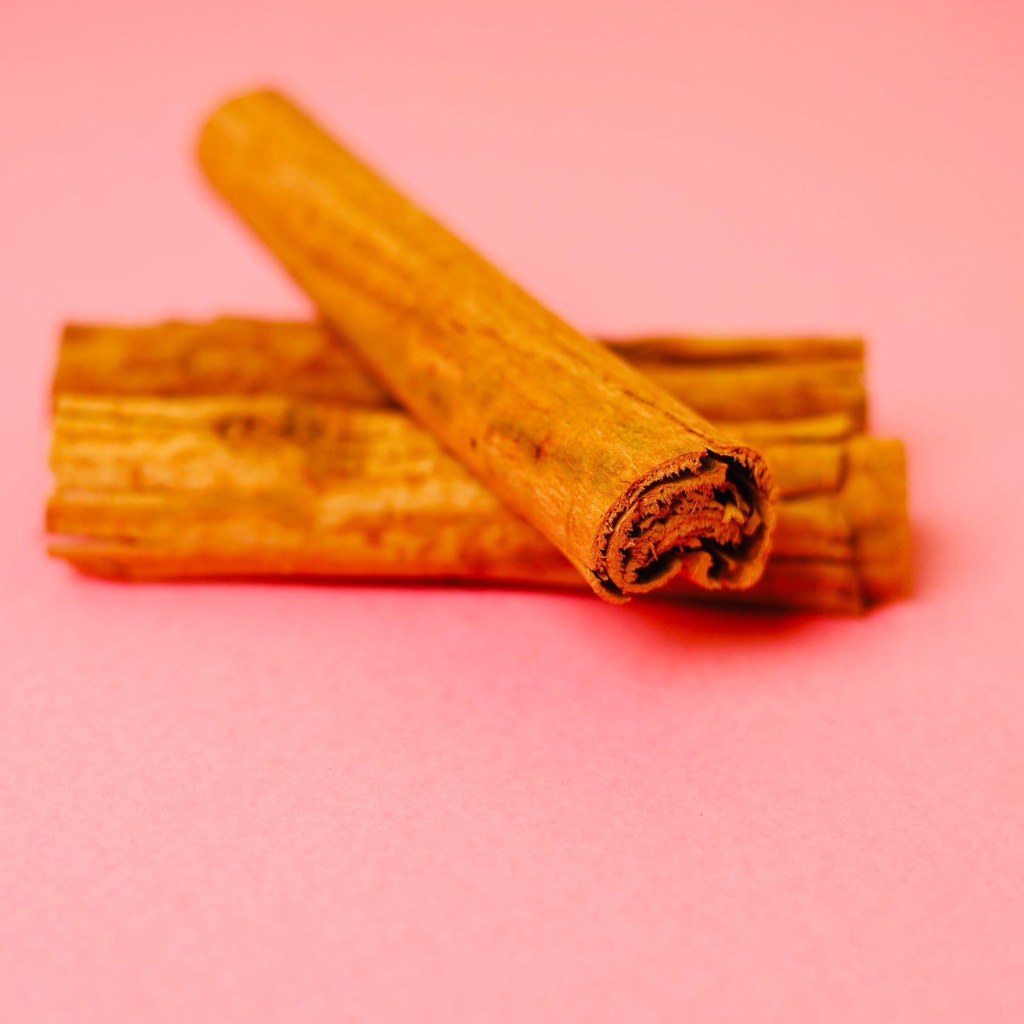 Lavanga Pattai | True Cinnamon Tree | Spices | No.1 Pattai | Ceylon Cinnamon Tree| Dalchini