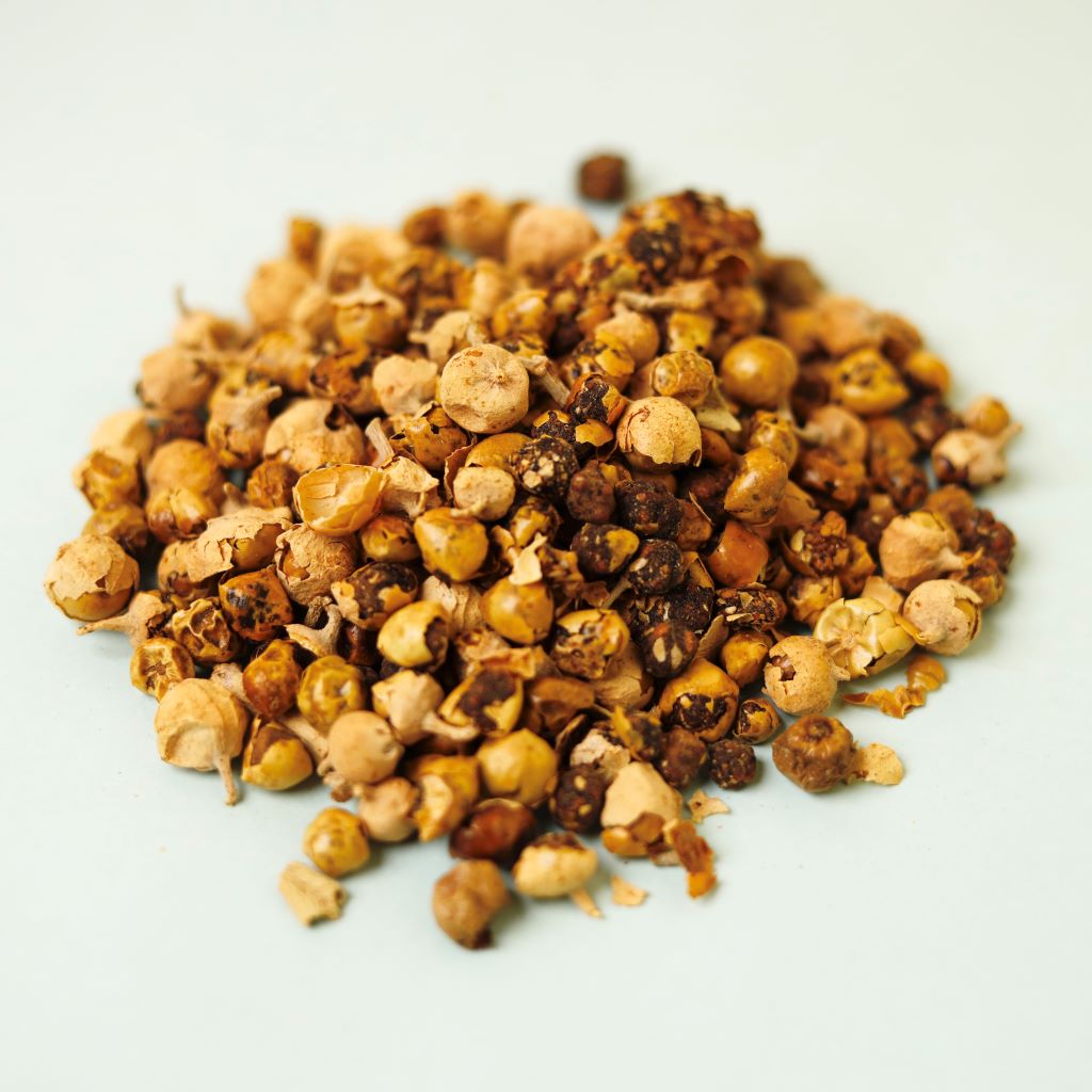 Paneer Poo, Withania Coagulans , Indian Rennet, Paneer Phool, Paneer Pusba பன்னீர் பூ (Diabetic Care)