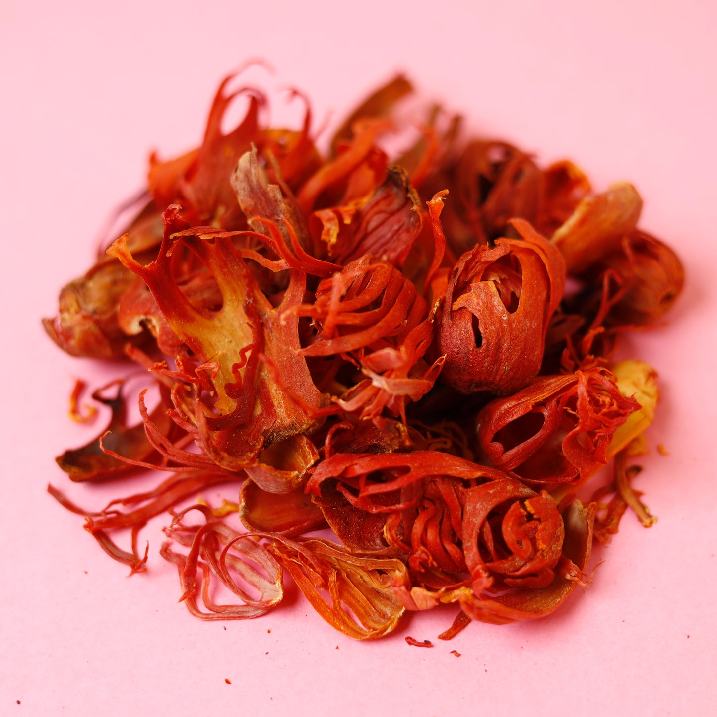 Javitri (Mace) Spice | Javitri Spices Whole | Spices | Japatri - Mace Whole Spice - Premium Whole Flowers, Netmug