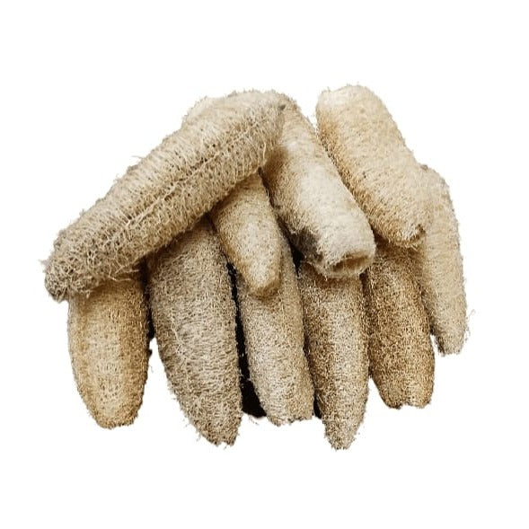 Peekan Naaru | Ridge Gourd Loofah