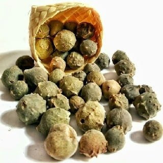 JOTHI'S | Maasikkai - Oak Gall 50G