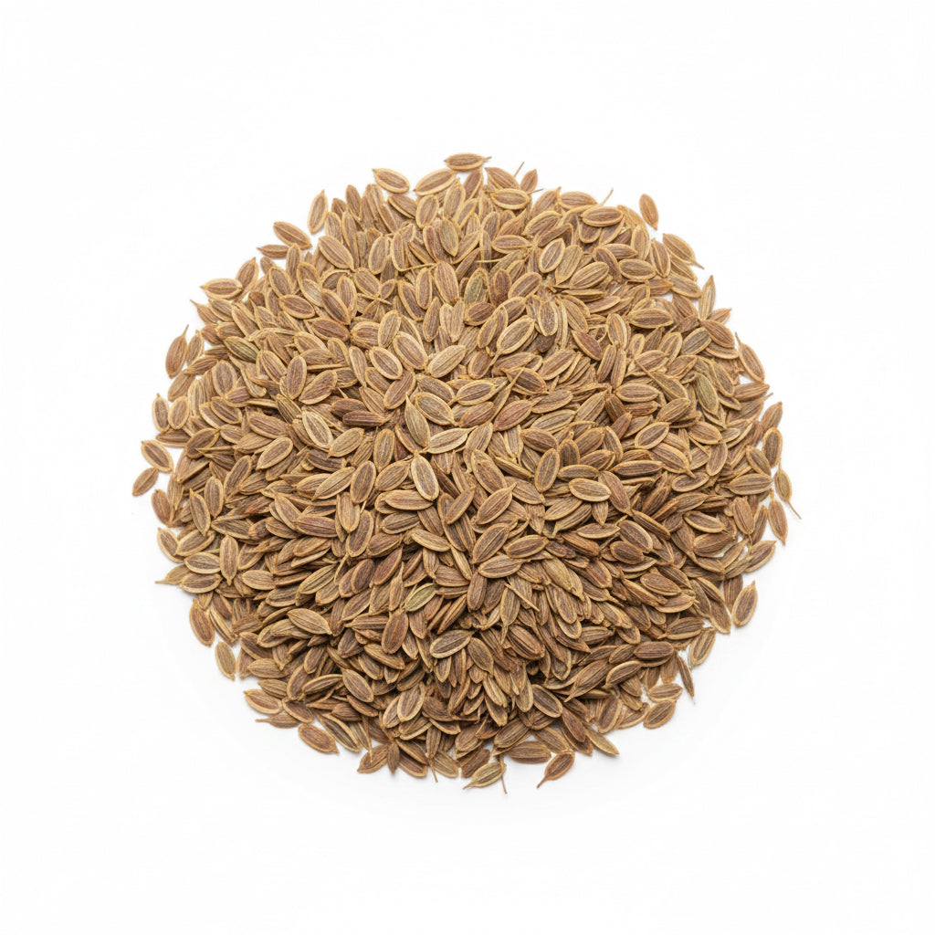 Sadhakuppai ( Anethum sowa ) | Dil Seeds