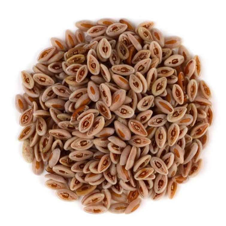 Isabgol Seeds