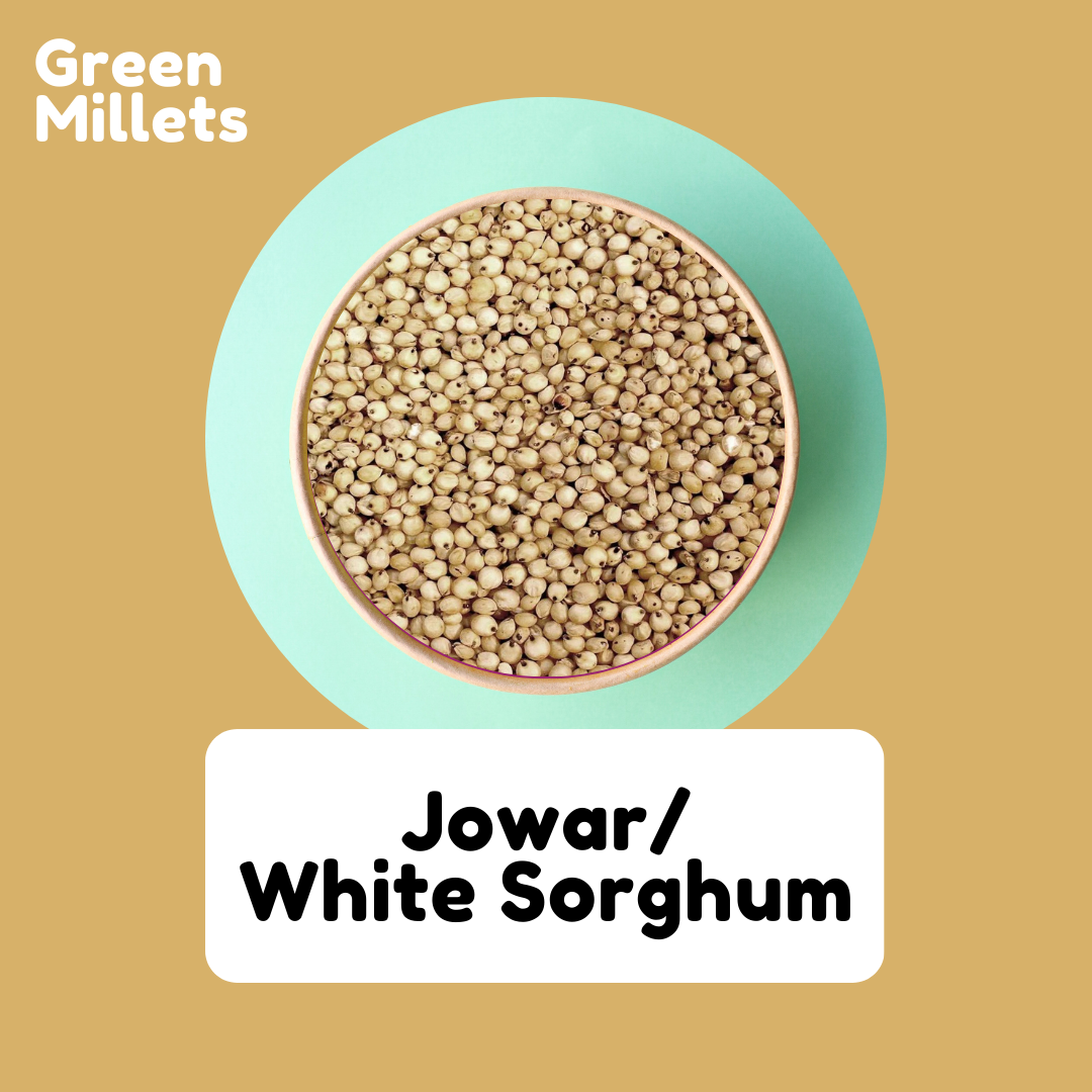 Jowar | White Sorghum | Solam | White Solam | Jonna 1Kg – Jothi Herbals