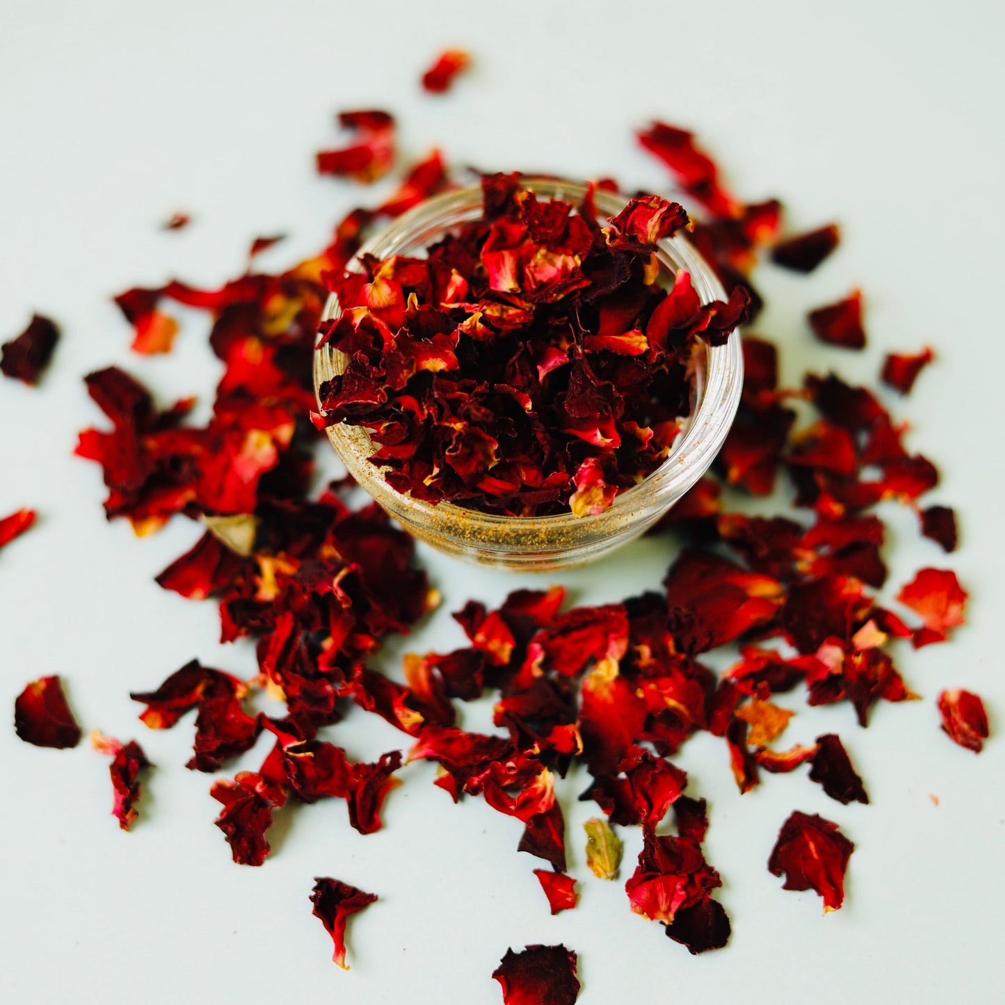Rose Petals | Rosa Centifolia
