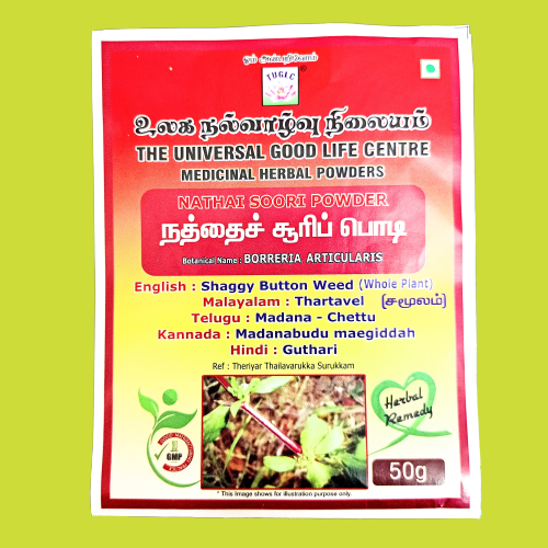 Nathai Soori Seed Powder | Spermococe Hispida, 50 Gms (Pack of 3)