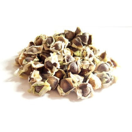 Moringa Seeds | Murungai Vidhai | Drumstick Seeds